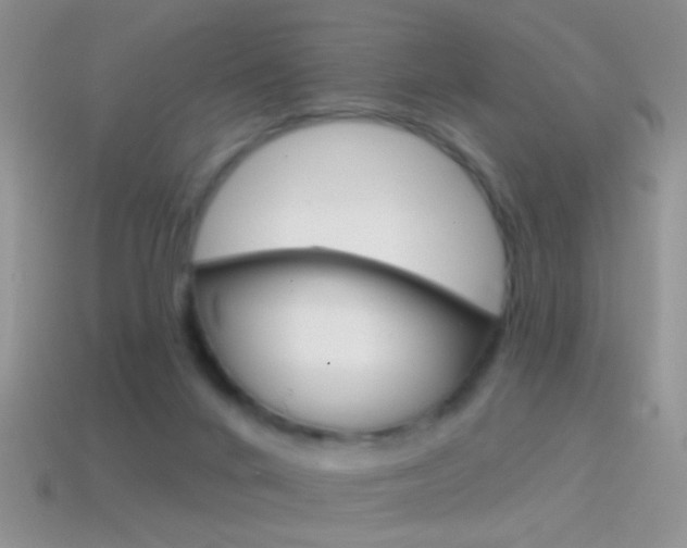 X0000114720024200910211101