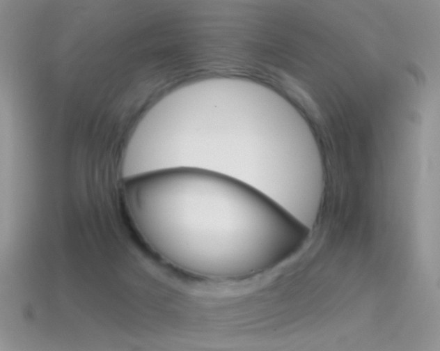 X0000114720025200910211101