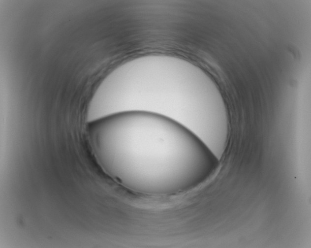 X0000114720029200910211101