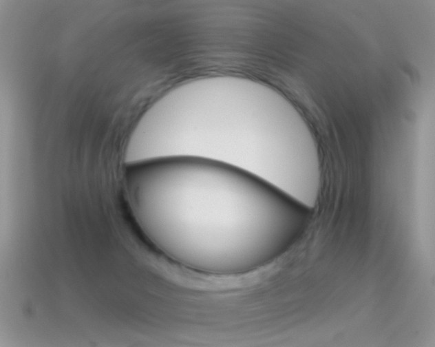 X0000114720031200910211101