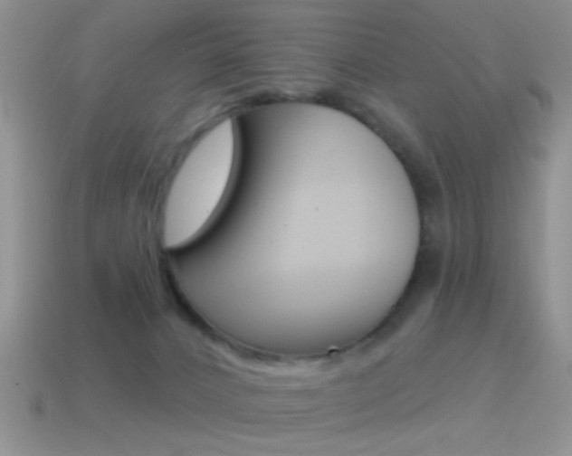 X0000114720032200910211101