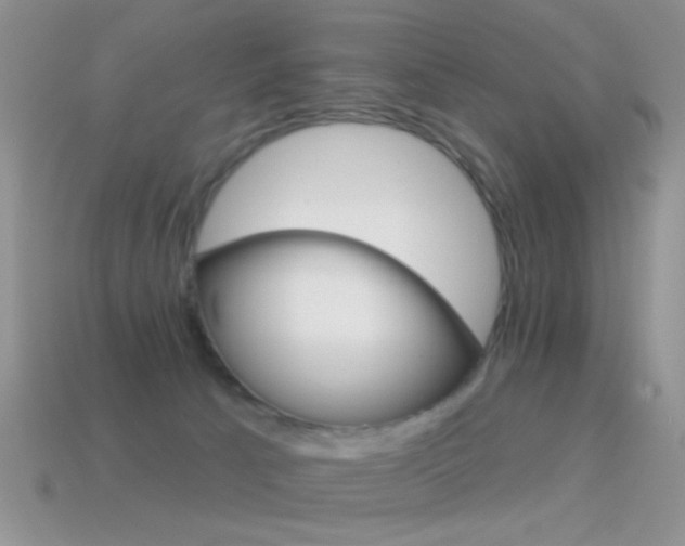 X0000114720033200910211101