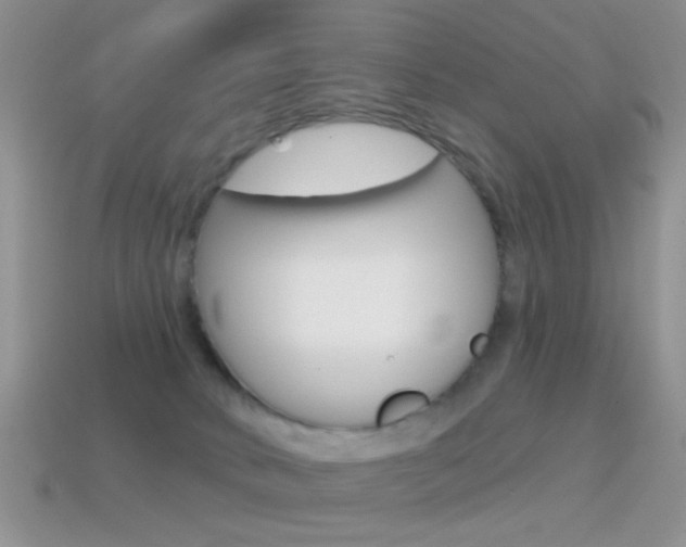 X0000114720034200910211101