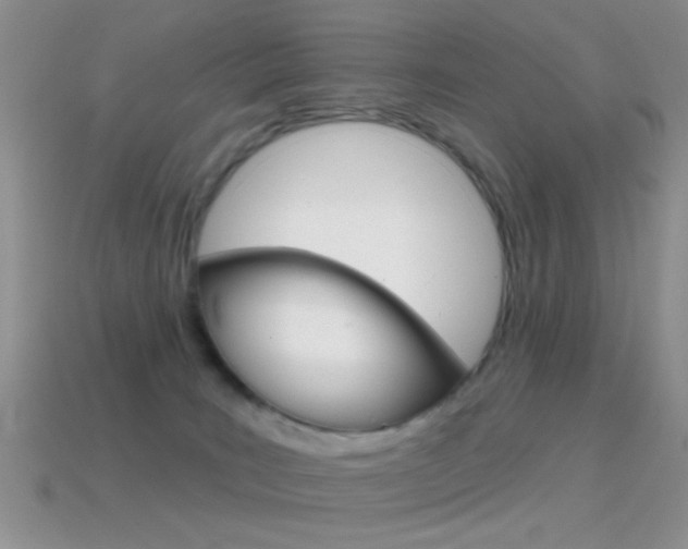 X0000114720035200910211101