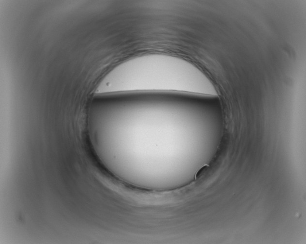 X0000114720036200910211101