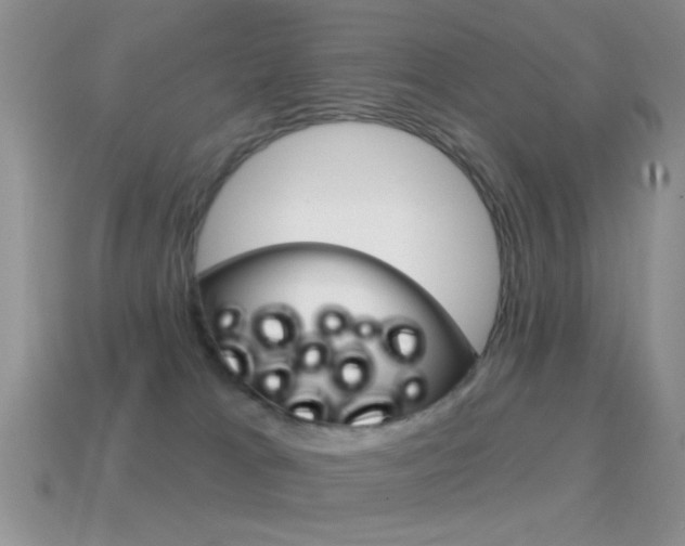 X0000114720037200910211101