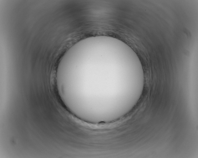 X0000114720038200910211101