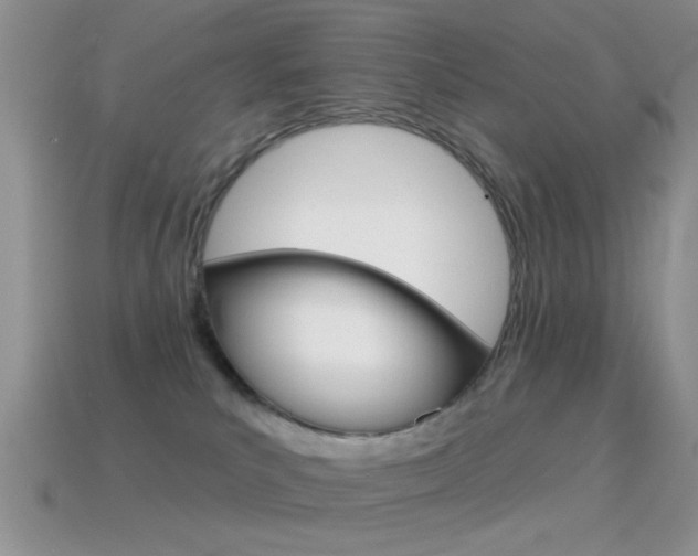 X0000114720039200910211101