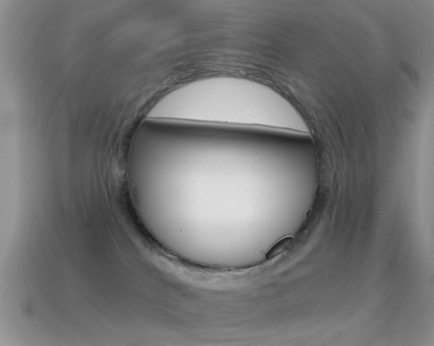 X0000114720040200910211101