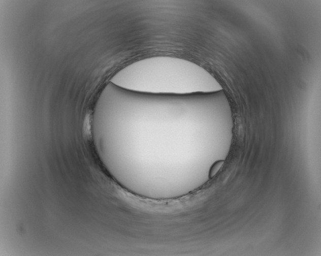 X0000114720042200910211101