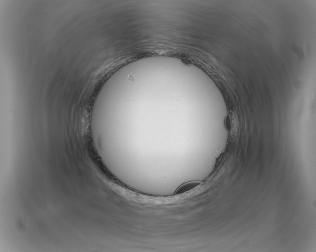 X0000114720043200910211101