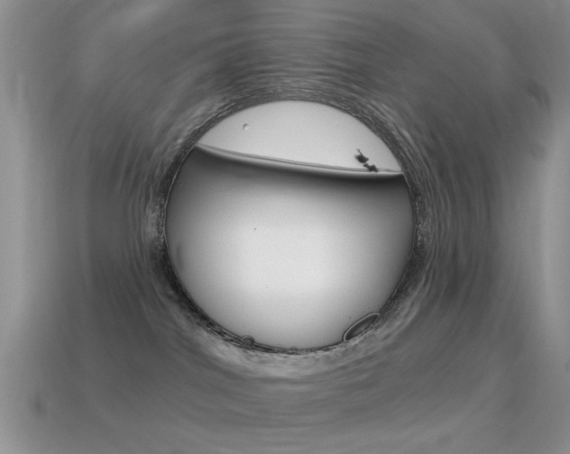 X0000114720044200910211101