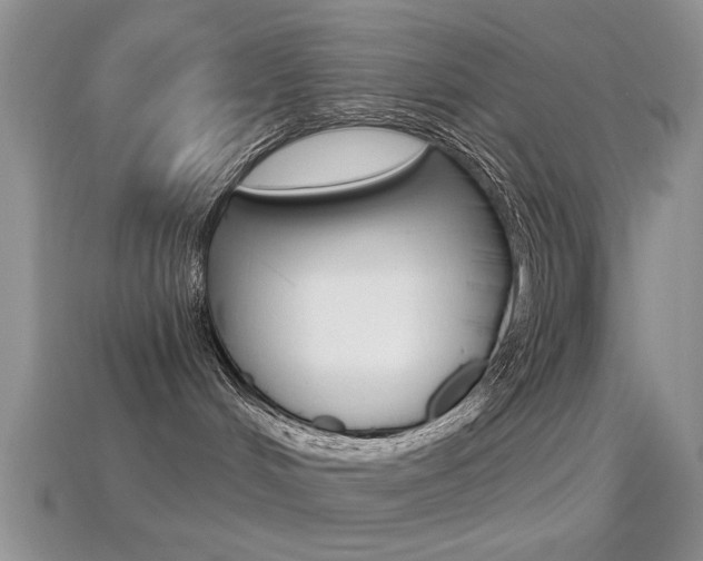 X0000114720048200910211101