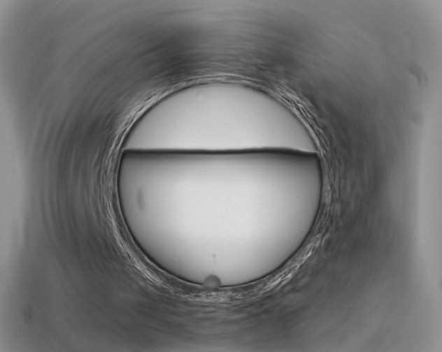 X0000114720049200910211100