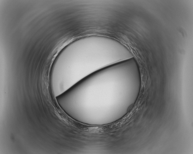 X0000114720050200910211100