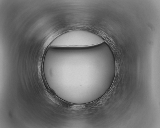 X0000114720051200910211100