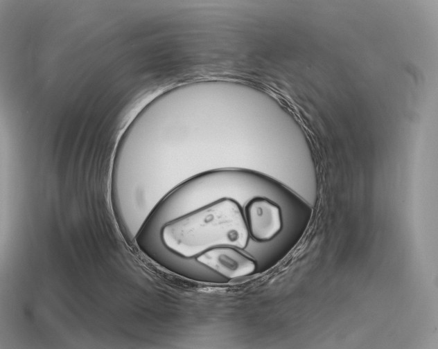 X0000114720052200910211100