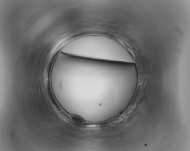 X0000114720053200910211100