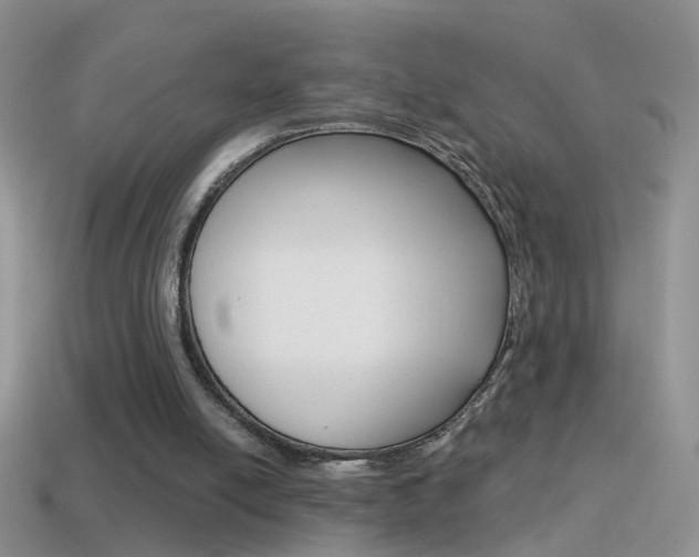 X0000114720054200910211100