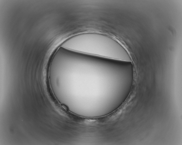 X0000114720055200910211100