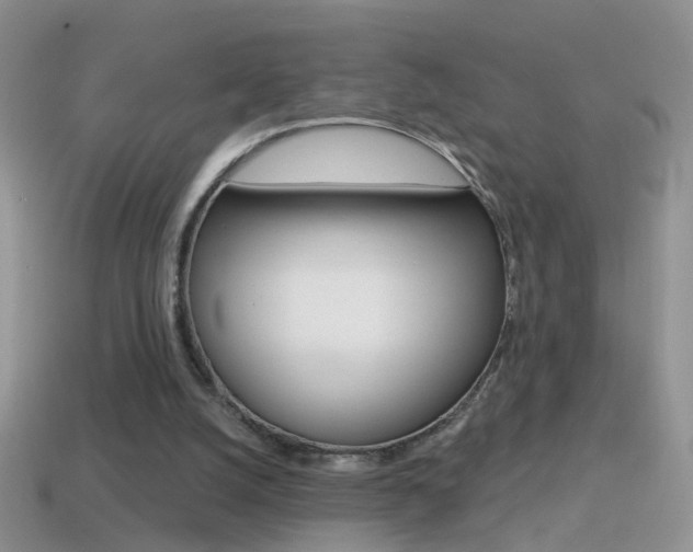 X0000114720056200910211100