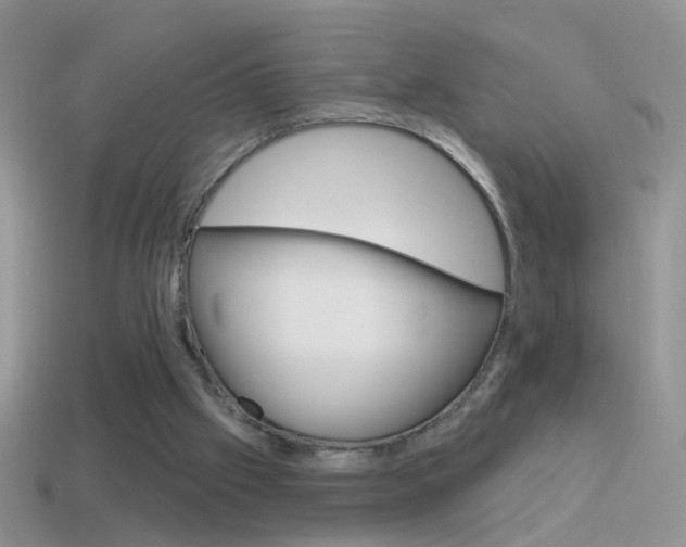 X0000114720057200910211100