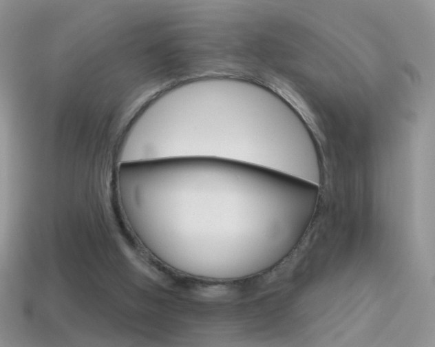 X0000114720058200910211100