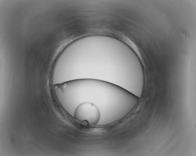 X0000114720059200910211100