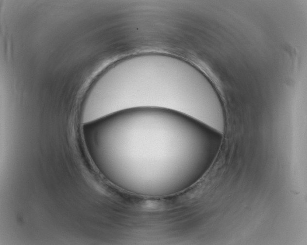 X0000114720060200910211100