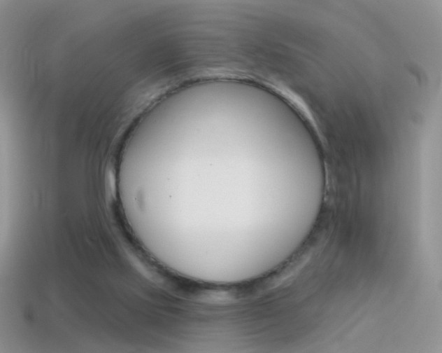 X0000114720061200910211100