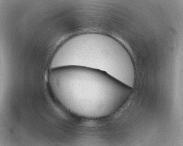 X0000114720062200910211100