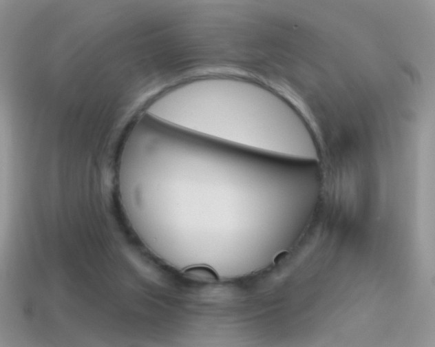 X0000114720063200910211100