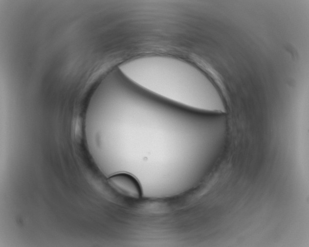 X0000114720067200910211100