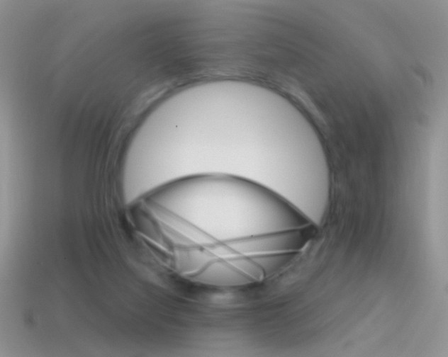 X0000114720068200910211100