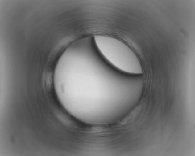 X0000114720070200910211100