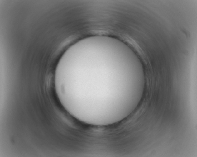 X0000114720071200910211100