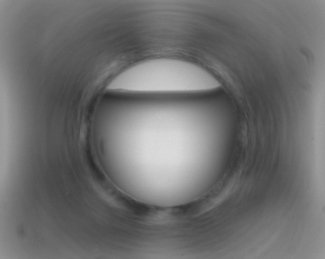 X0000114720072200910211100