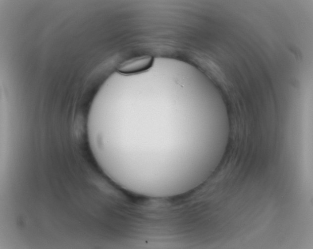 X0000114720077200910211100