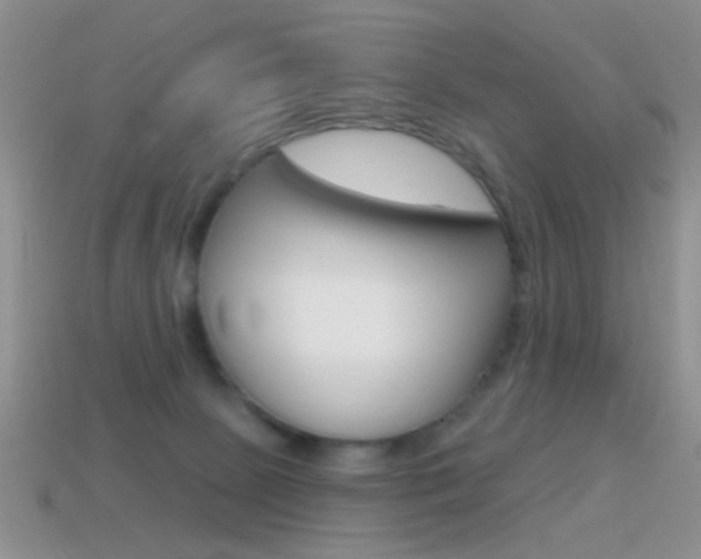 X0000114720081200910211101