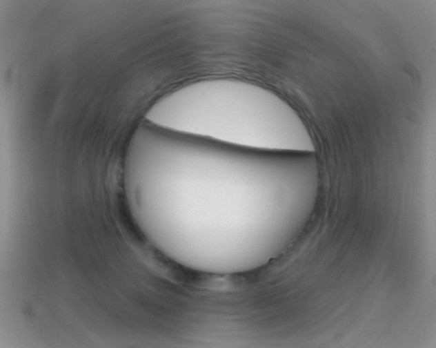 X0000114720083200910211101