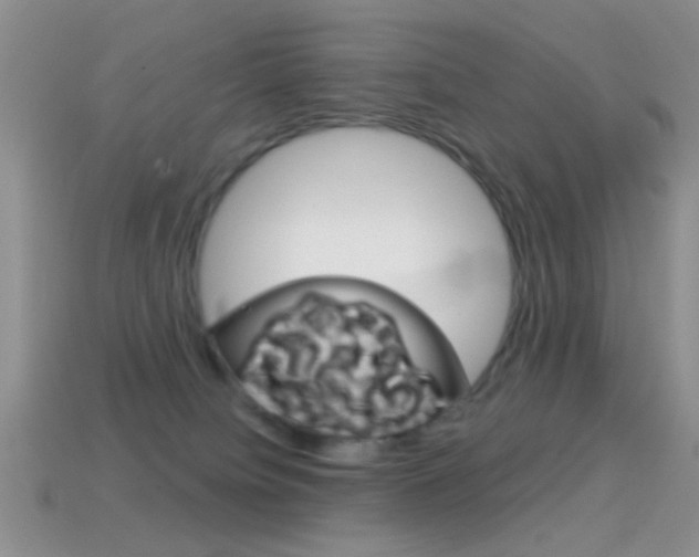 X0000114720084200910211101