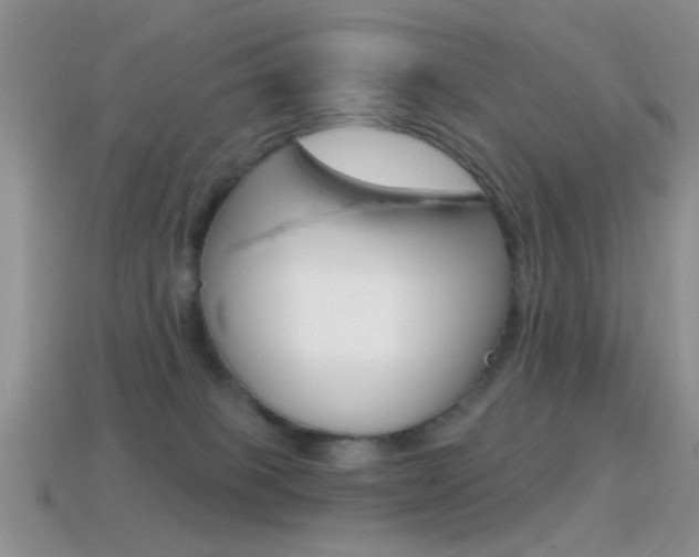 X0000114720085200910211101