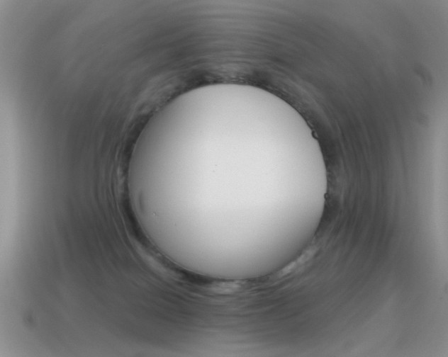 X0000114720086200910211101