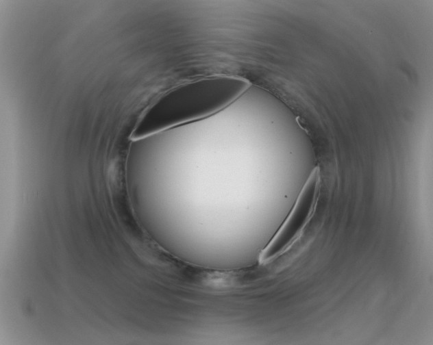 X0000114720088200910211101