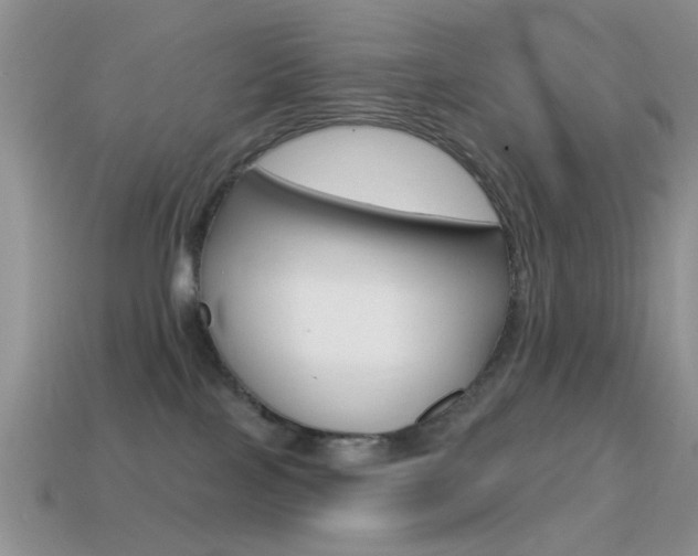 X0000114720089200910211101