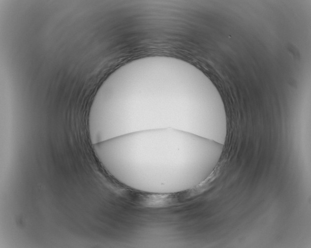 X0000114720090200910211101