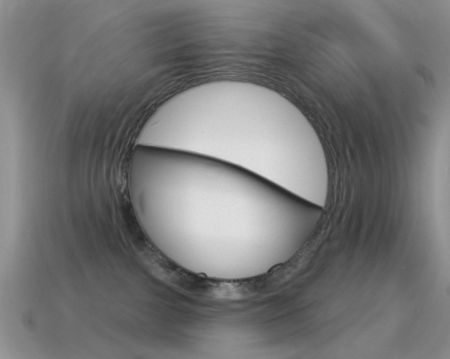 X0000114720091200910211101