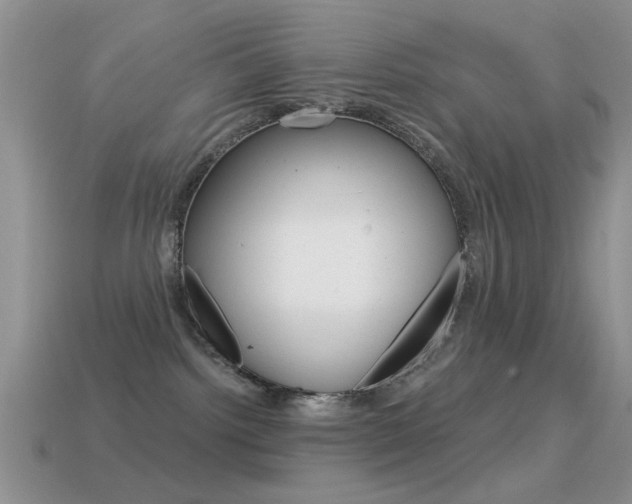 X0000114720092200910211101