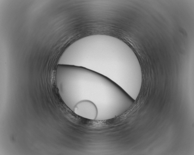 X0000114720093200910211101