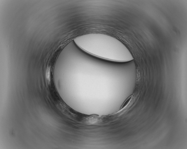 X0000114720094200910211101